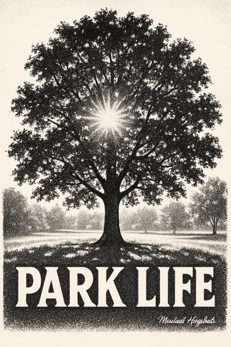 PARK LIFE monochrome image of a tree with sunlight, signed by Michael Hoydich